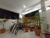 Apartamento Choudhary White House Udaipur