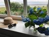 Apartamento Gut Bielenberg