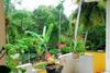 Hostal Yellowappartments