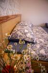 Hostal Villa Su?i M�a Xu�n