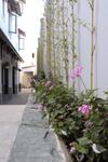 Hostal Villa Su?i M�a Xu�n