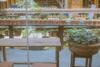 Hostal G? Th�ng Homestay