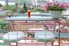 S�c Con Homestay & Coffee
