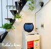Hostal Nalan's Home 6