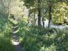 Burnfoot Of Cluden