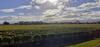 Te Waiharakeke Holiday Home