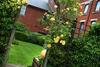Hotel Best Western Plus Cedar Court Bradford