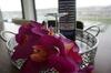 Apartamento D'ouwe Haven 10b Kamperland Marina