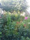Apartamento Sofia Home