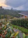 Lodge El Manantial Guatape