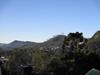 Hostal Redwood Homestay