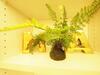 Apartamento Xinyi Anhemrt3min,cbd Garden View