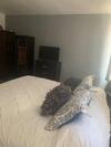 Apartamento Linda Casa,comodidad, Limpieza