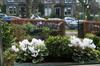 Hostal Brookfield House