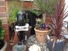 Abodes B&B