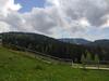 Forest Dream Apartment - Elit Pamporovo