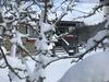 Haere Mai B&B Orust