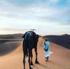 Bed & Breakfast Camp Desert Nomad Tour