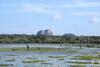 Basecamp - Yala