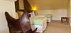 Hostal Moray Park Guest House