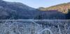 Apartamento Ledererhof Lunz Am See