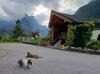 Apartamento Hilltop Appartement