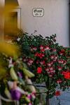 Apartamento Biobauernhof Gast