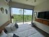 One Bedroom Apartment With Jungle Views