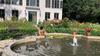 B&B Elswoutshoek