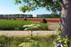 Logeren Op de Thoolse Parel Boerderij