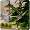 Apartamento Aquarium Residence Economy