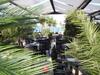 Apartamento Mihnea Studio Alezzi