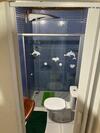 Apartamento Casa Thor Na Pituba