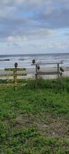 Litoral Itanhaem Suar�o