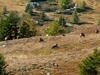 Apartamento Berg-arche