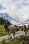 Ferienh�user Tschofen Garfrescha