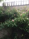 Apartamento Tuinzicht