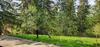 Paradise Haven Apartment, Predeal!