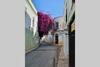 Apartamento Laax Reopened Family Flat