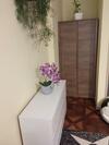 Apartamenty ?r�dmie?cie