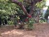 Bed & Breakfast Les Hautes Roches