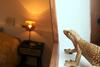 Chambre Confortable Et Cosy Dans Maison Typique Rosendaelienne