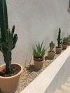 Bed & Breakfast Le Cabanon De Val