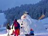 Chalet Le Flocon Bleu - Mauselaine Avec Vue Sur Le Lac de G�rardmer