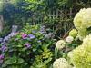 Apartamento Le Petit Nid D'aigle - Giverny