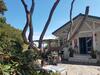 Apartamento Ecrins de La Badine- Pin�de