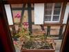 Apartamento La Cour Des Meuniers - Le Froment