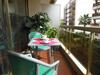 Apartamento Appartement Silver La R�gence