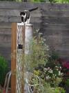 Bed & Breakfast Falgueret
