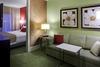 Hotel Springhill Suites Memphis Downtown